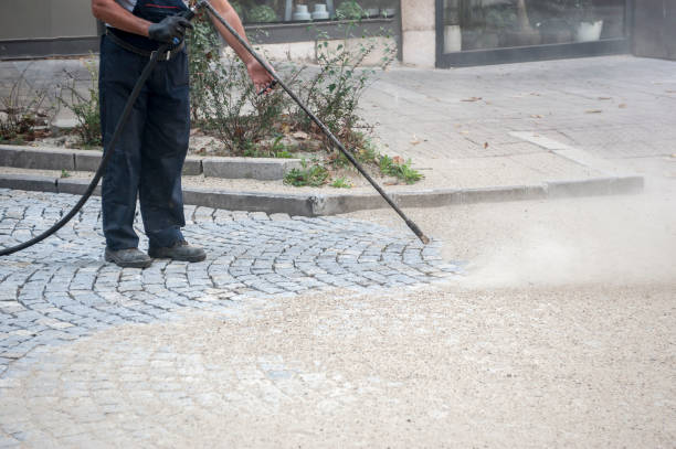 Best Dumpster Area Cleaning  in South Paris, ME