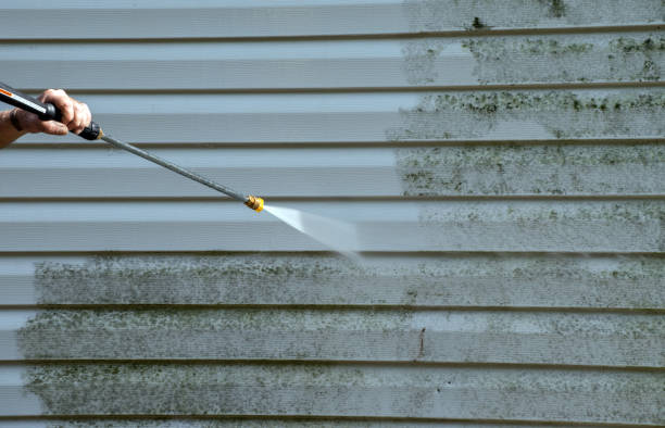 Best Driveway Pressure Washing  in South Paris, ME